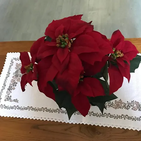 Chez Annette Et Pierre Weber בית נופש Niedernai